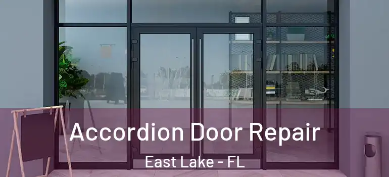  Accordion Door Repair East Lake - FL