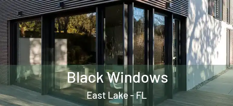  Black Windows East Lake - FL