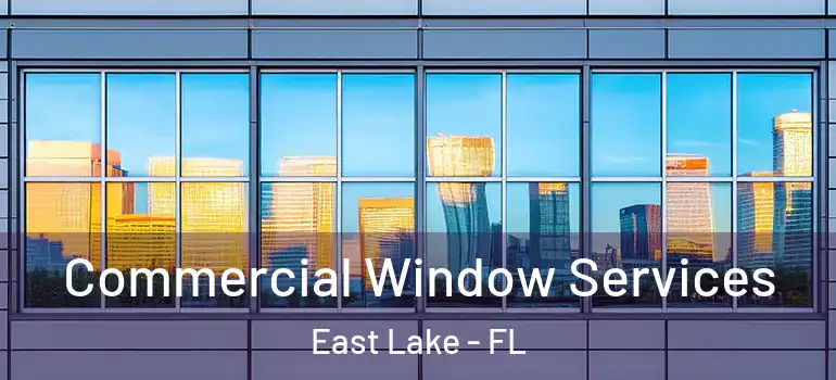  Commercial Window Services East Lake - FL