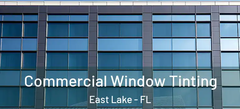  Commercial Window Tinting East Lake - FL