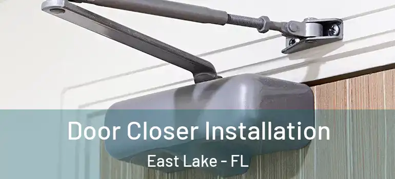  Door Closer Installation East Lake - FL