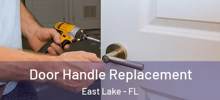  Door Handle Replacement East Lake - FL