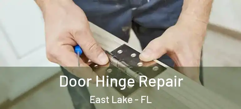  Door Hinge Repair East Lake - FL