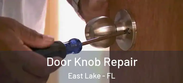  Door Knob Repair East Lake - FL