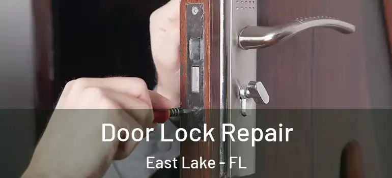  Door Lock Repair East Lake - FL