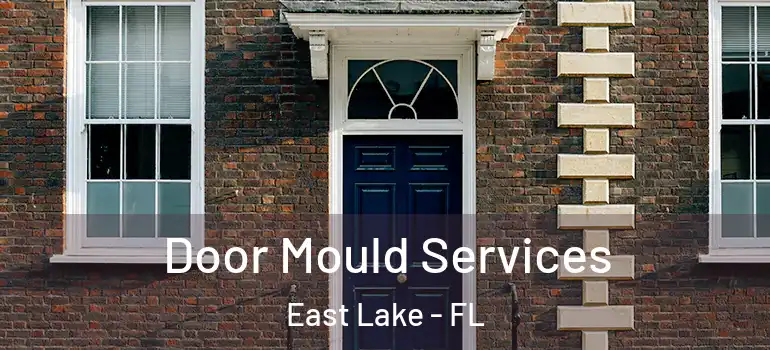  Door Mould Services East Lake - FL