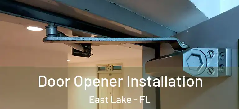  Door Opener Installation East Lake - FL