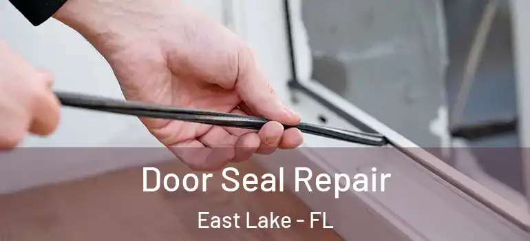  Door Seal Repair East Lake - FL