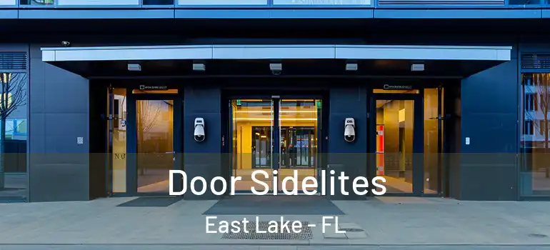  Door Sidelites East Lake - FL