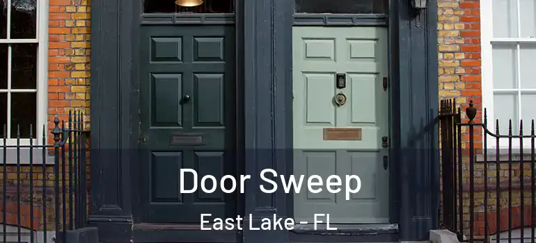  Door Sweep East Lake - FL