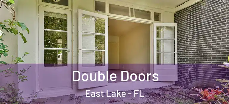  Double Doors East Lake - FL
