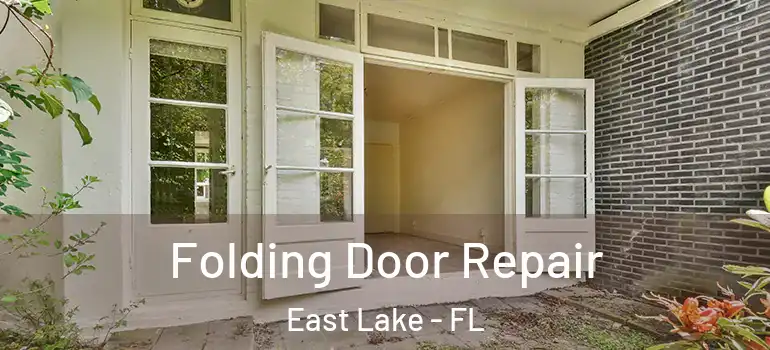  Folding Door Repair East Lake - FL