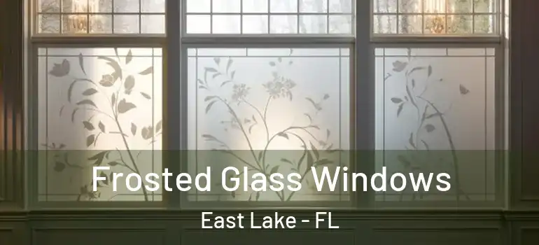  Frosted Glass Windows East Lake - FL