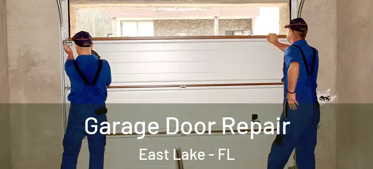  Garage Door Repair East Lake - FL