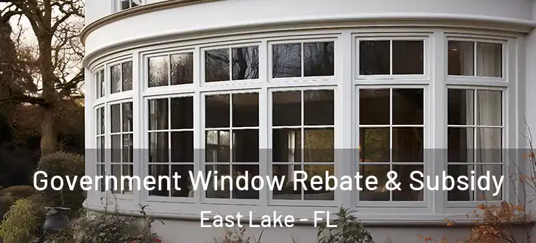  Government Window Rebate & Subsidy East Lake - FL
