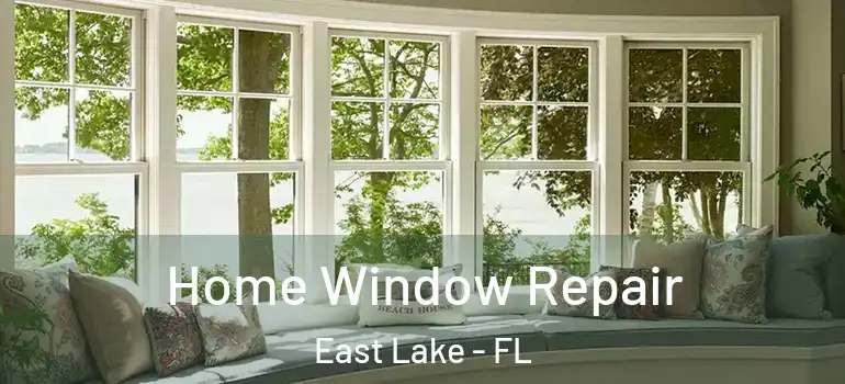  Home Window Repair East Lake - FL