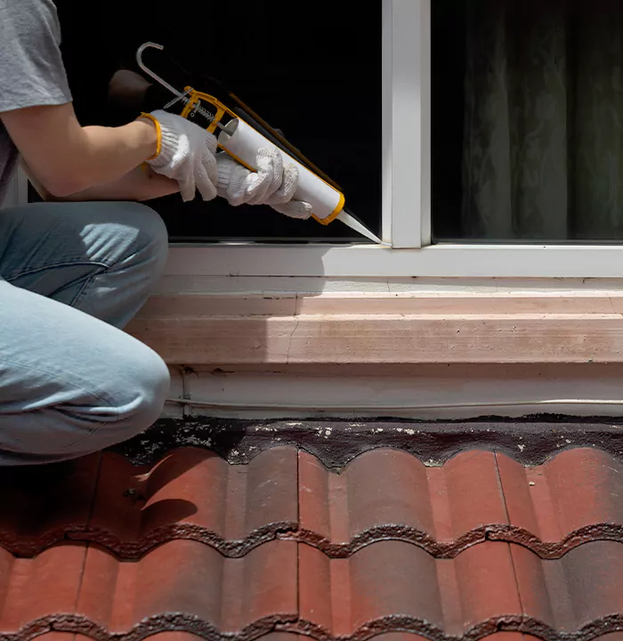 Roof Window Services in East Lake, Florida