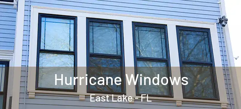  Hurricane Windows East Lake - FL