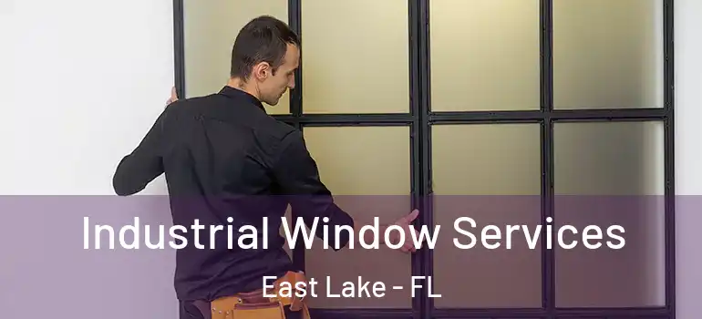  Industrial Window Services East Lake - FL