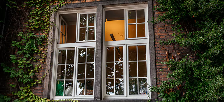 Energy Efficient Wood Windows in East Lake, FL
