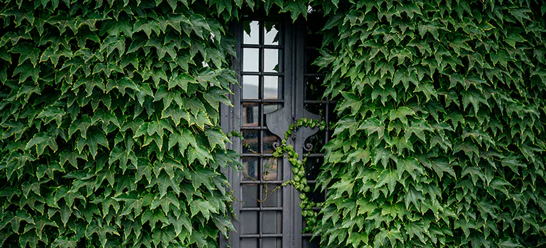 Garden Gate Repair in East Lake, FL