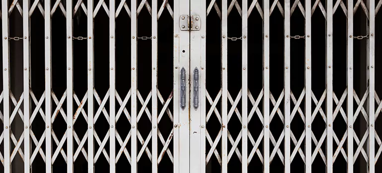 Steel Line Garage Door Repairs in East Lake, FL