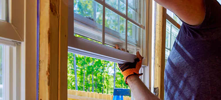 Decorative Window Film Services in East Lake, FL
