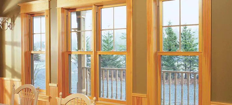 Government Incentives For Replacement Windows in East Lake, FL