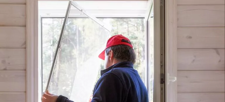 Expandable Window Screen Installation in East Lake, FL