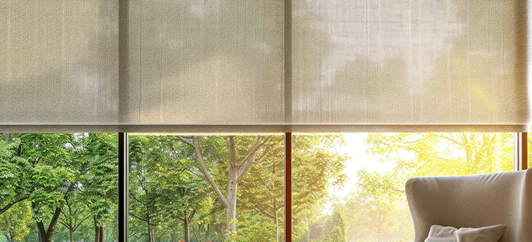 Custom Window Shades in East Lake, FL