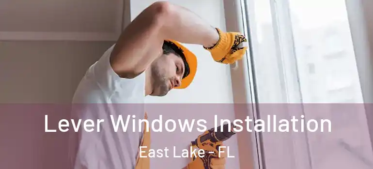  Lever Windows Installation East Lake - FL