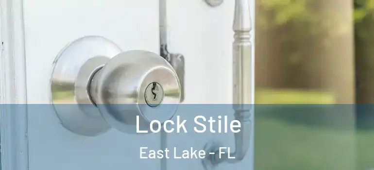  Lock Stile East Lake - FL