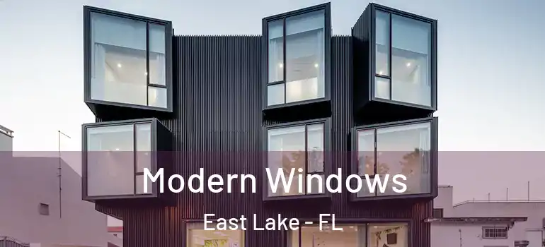  Modern Windows East Lake - FL