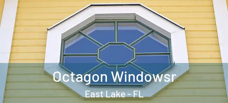 Octagon Windowsr East Lake - FL