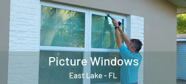  Picture Windows East Lake - FL
