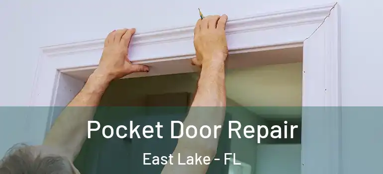 Pocket Door Repair East Lake - FL