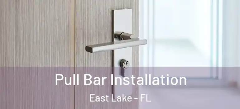 Pull Bar Installation East Lake - FL