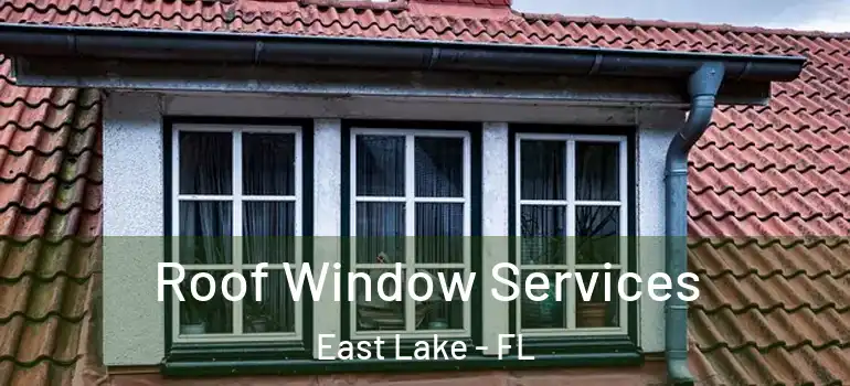  Roof Window Services East Lake - FL