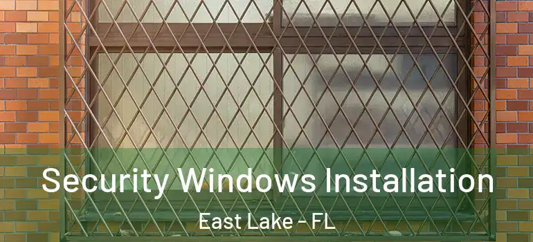  Security Windows Installation East Lake - FL