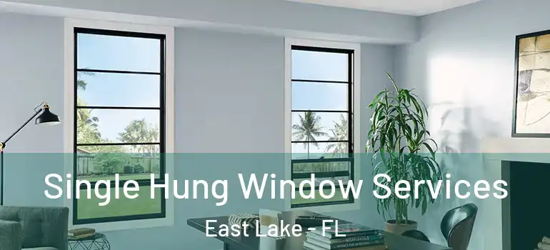  Single Hung Window Services East Lake - FL