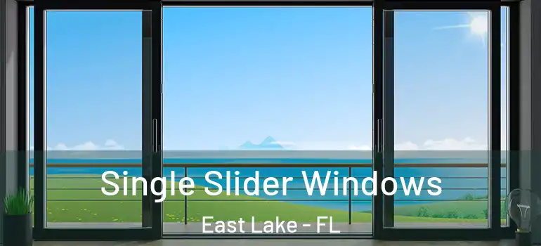 Single Slider Windows East Lake - FL