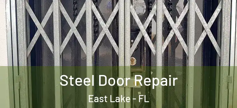  Steel Door Repair East Lake - FL