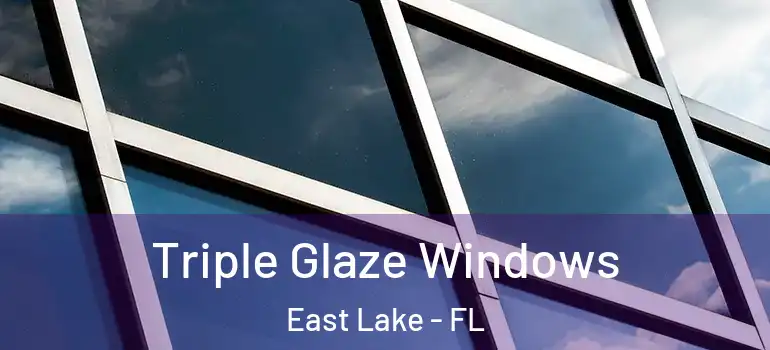  Triple Glaze Windows East Lake - FL