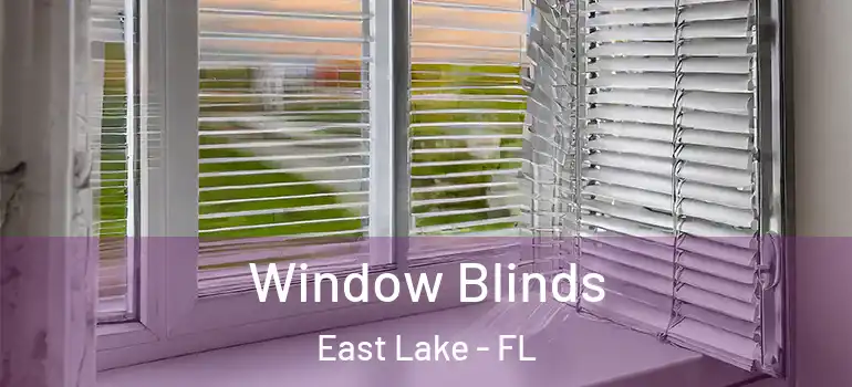  Window Blinds East Lake - FL