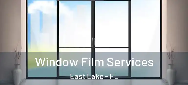  Window Film Services East Lake - FL