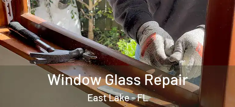  Window Glass Repair East Lake - FL