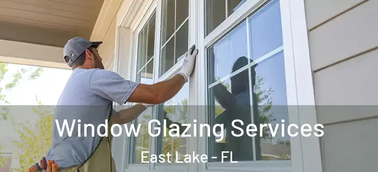  Window Glazing Services East Lake - FL