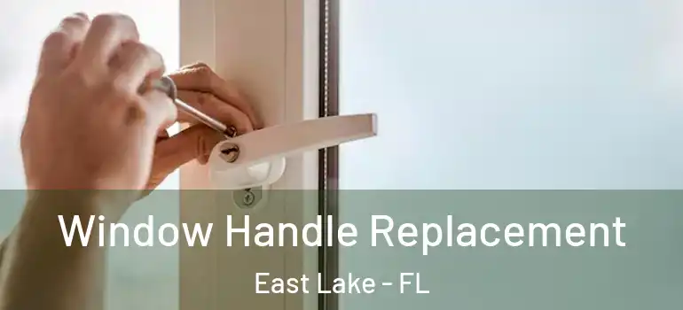  Window Handle Replacement East Lake - FL