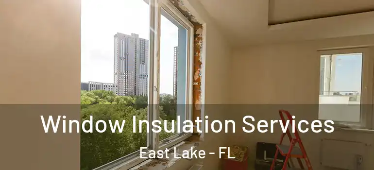  Window Insulation Services East Lake - FL