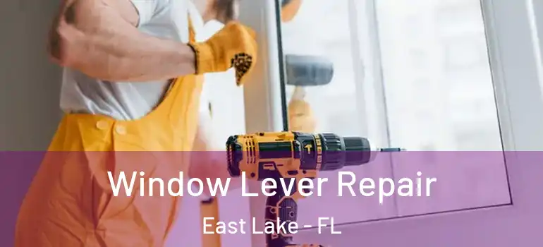  Window Lever Repair East Lake - FL